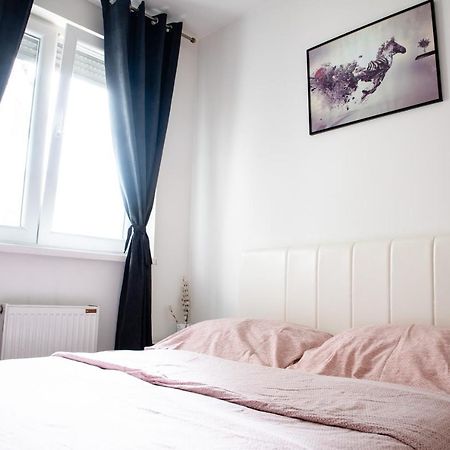 דירות נובי סאד Apartman Black Star מראה חיצוני תמונה